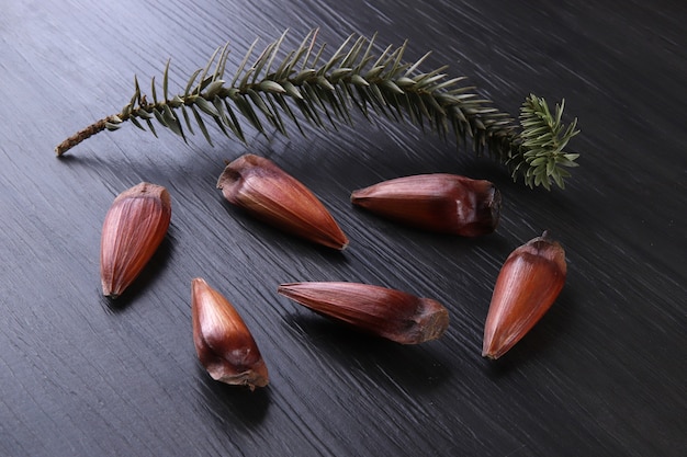 Semi di araucaria tipici usati come condimento nella cucina brasiliana in inverno. dadi brasiliani del pignone in ciotola di legno marrone e rossa su fondo di legno grigio.