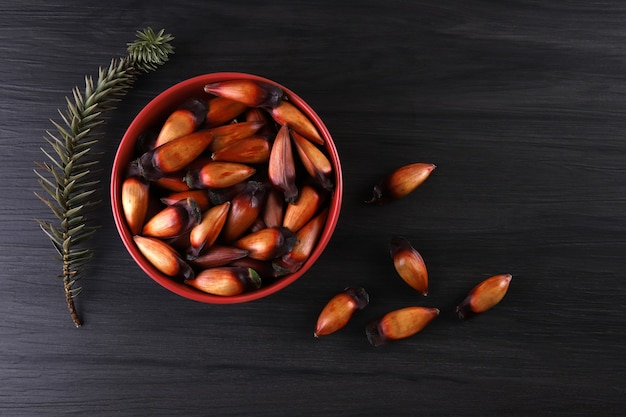 Typical araucaria seeds used as a condiment in Brazilian cuisine in winter.