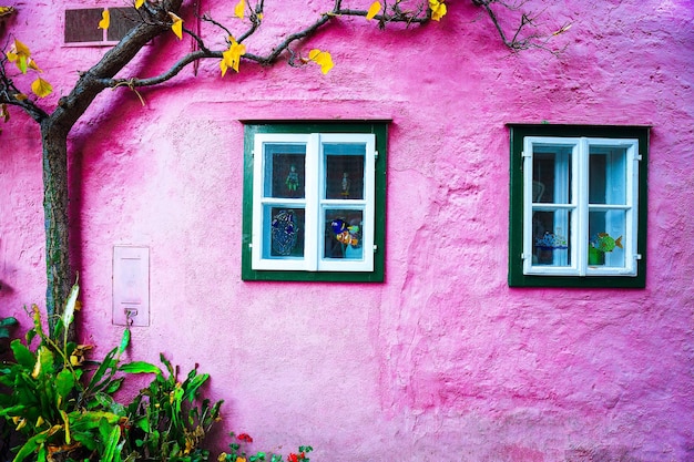 Typical Austrian Alpine houses Tree in autumn against pink wal