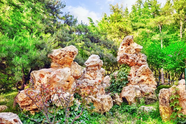 Foto tipico giardino cinese, parco con rocce bizzarre. pechino, cina