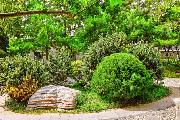 Typical Chinese garden,  park with bizarre rocks. Beijing, China