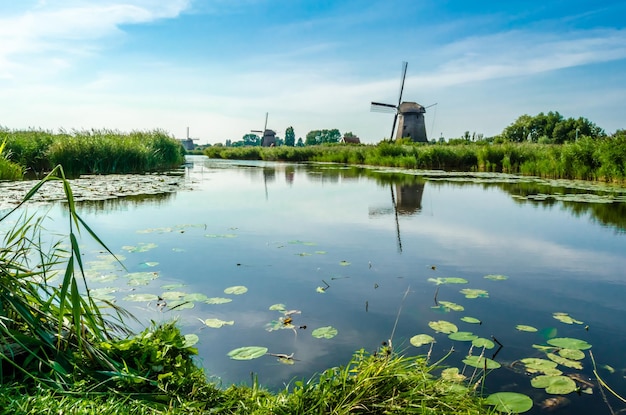 オランダ、アルクマールの典型的なオランダの風景