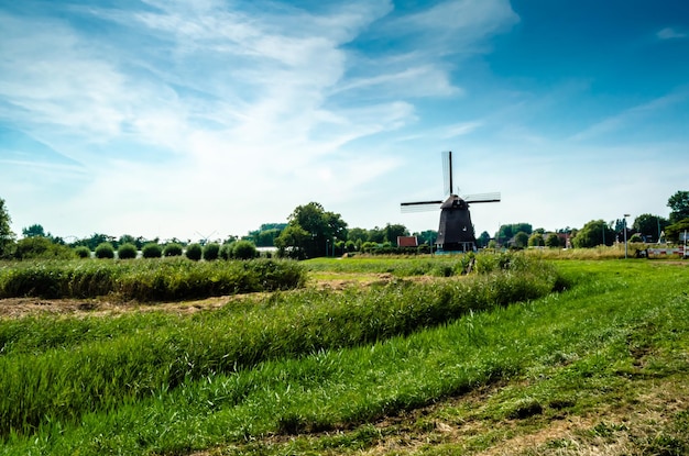 Typical Dutch landscape in Alkmaar the Netherlands