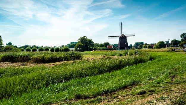 オランダ、アルクマールの典型的なオランダの風景