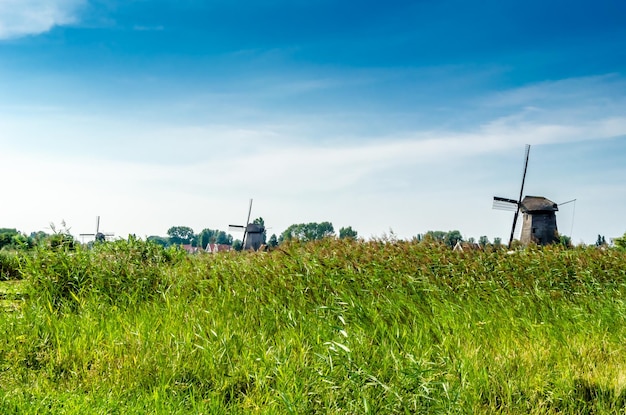 オランダ、アルクマールの典型的なオランダの風景