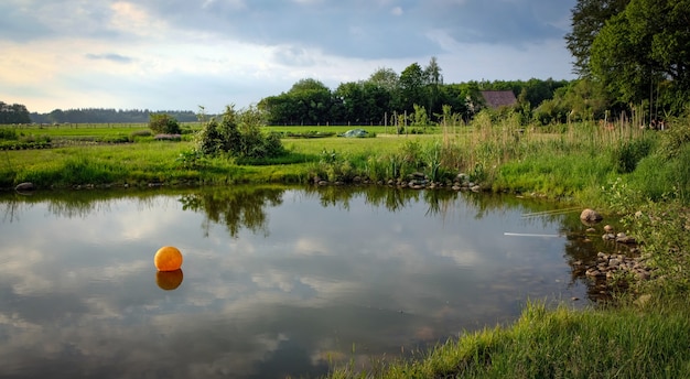 Typical dutch landscape in the summer