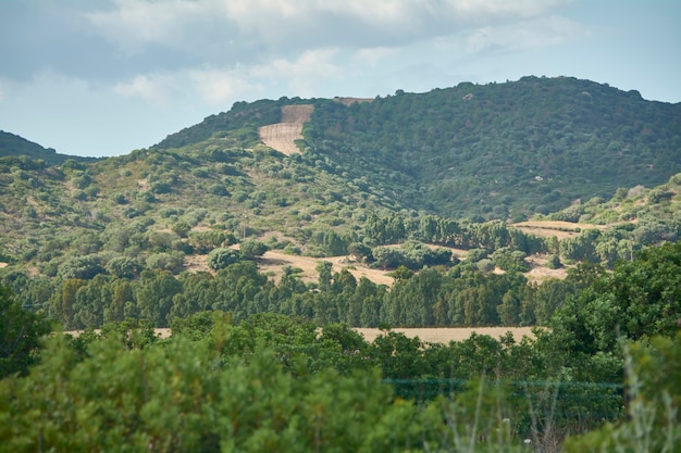 Typical hill of southern Sardinia covered with Mediterranean vegetation with a small road leading to the top.