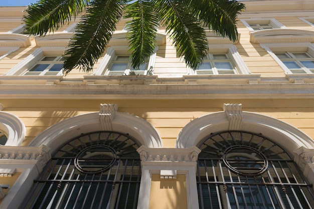 Typical houses and buildings dated from the 17th century and palm tree with sunlight between the leaves Pernambuco Brazil