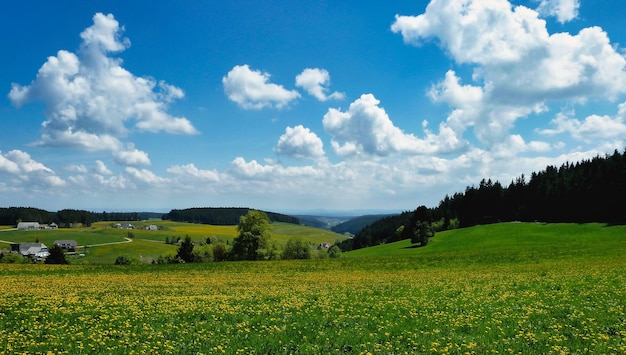 Typical landscape in the Black Forest area Germany