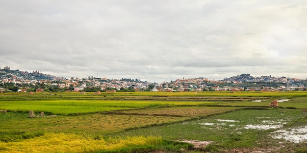 Typical landscape of Madagascar on overcast cloudy day - people working at wet rice fields in foreground, houses on small hills of Antananarivo suburb