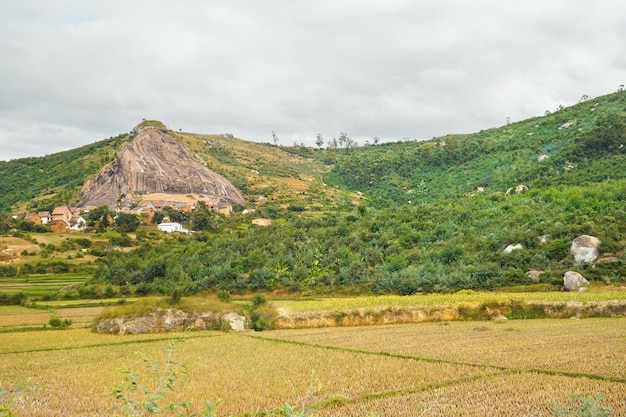 Typical landscape of Madagascar on overcast cloudy day - people working at wet rice fields in foreground, houses on small hills near Antananarivo