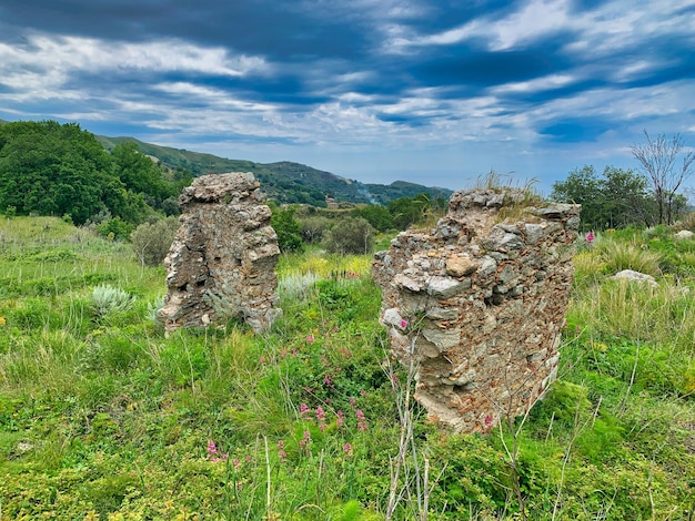 Photo typical landscape of rural calabria italy