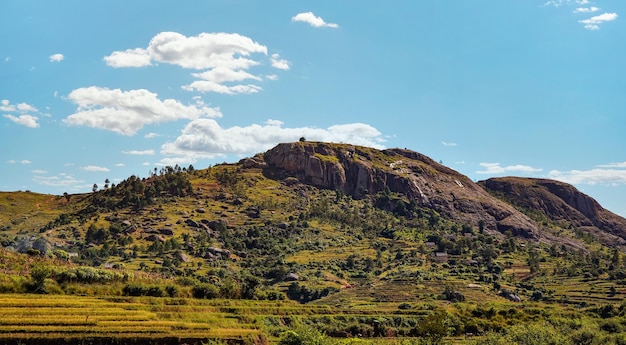 마다가스카르의 전형적인 풍경: 암보시트라 근처의 작은 언덕에 있는 녹색과 노란색  테라스 과 점토 집
