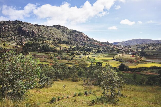 Typical madagascar landscape in region near tsiafahy, small\
hills covered with green grass and bushes, red clay houses and rice\
fields near.