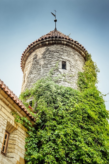 Typical medieval tower of Tallinn, Estonia. Retro toning