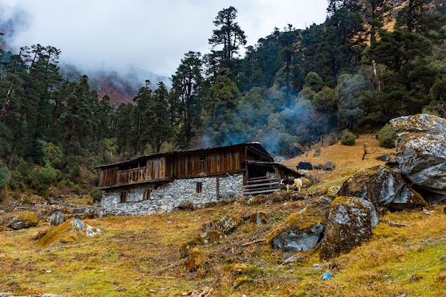 Photo a typical nepalese himalayan home made with wood and smoke coming out of hut in taplejung nepal