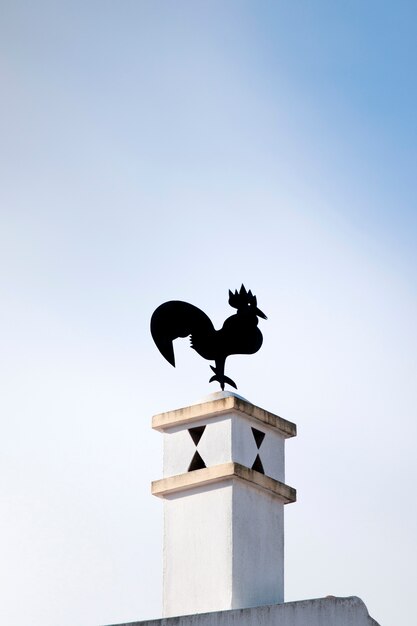 Photo typical rooster on chimney