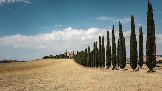 Foto paesaggio panoramico tipico della toscana, in italia