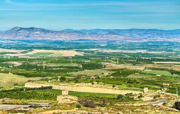 Typical sicilian landscape at Province of Catania - Italy