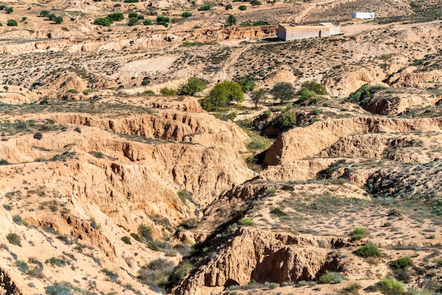 사진 북아프리카의 메데닌 주 (medenine governorate) 의 전형적인 니지 풍경