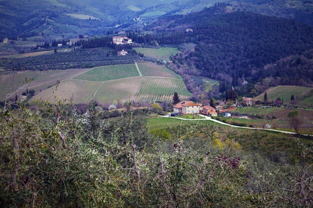 Typical Tuscan landscape - a view of a villa on a hill, a cypress alley and a valley with vineyards, province of Siena. Tuscany, Italy