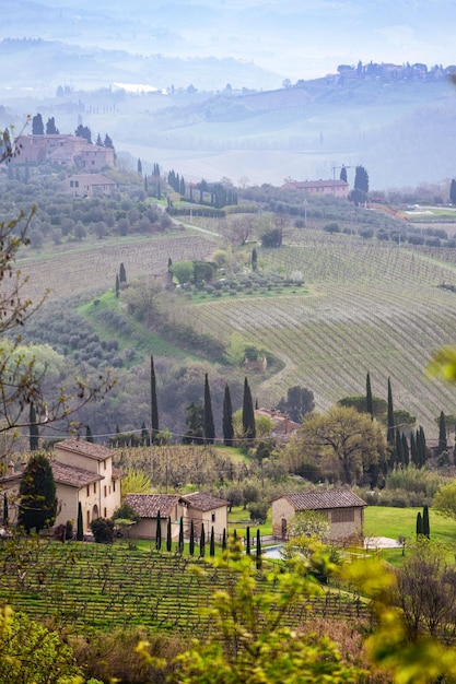 Typical Tuscan landscape - a view of a villa on a hill, a cypress alley and a valley with vineyards, province of Siena. Tuscany, Italy