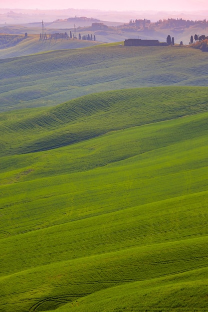 Типичный тосканский пейзаж