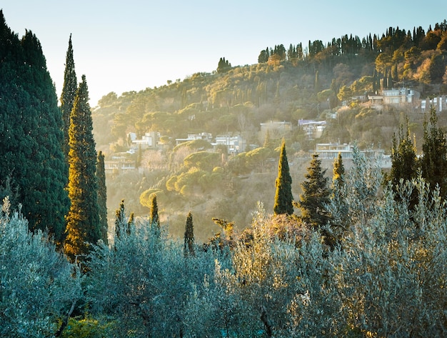 Tipico paesaggio toscano vicino a firenze