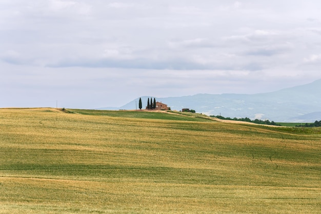 Foto tipico paesaggio toscano con casale e campo coltivato giallo e verde val d'orcia italia