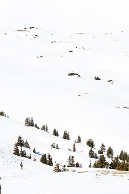 Typical weekend at Loveland pass on late Winter day.