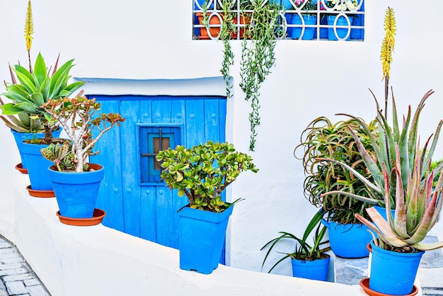 Typical white houses with blue windows and doors in the beautiful town of Nijar Almeria Andalusia