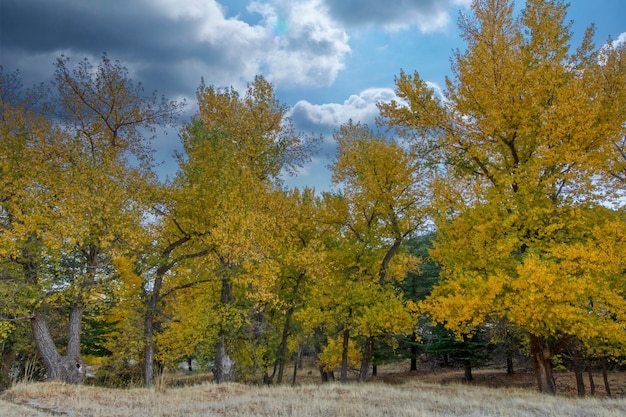 Typisch herfstlandschap in de Andalusische velden