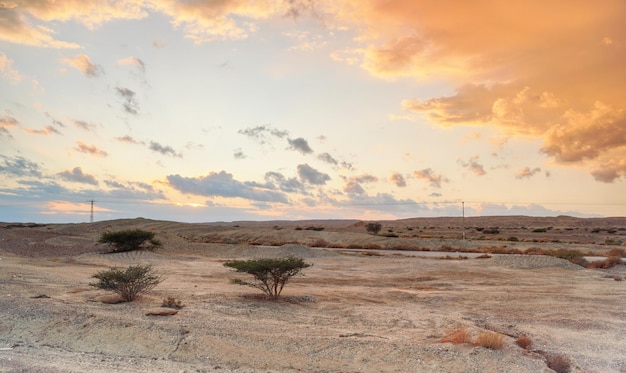 Typisch landschap aan de grens van Israël en Jordanië. Vlakke droge woestijn met lage struiken en kleine bergen, zon schijnt door avondwolken