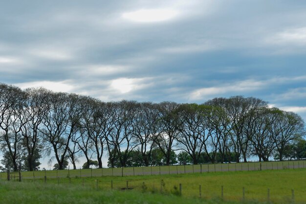 Typisch landschap door de Uruguayaanse prairies