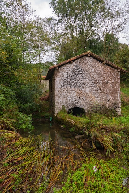 Typisch landschap van Asturië Stock Photo