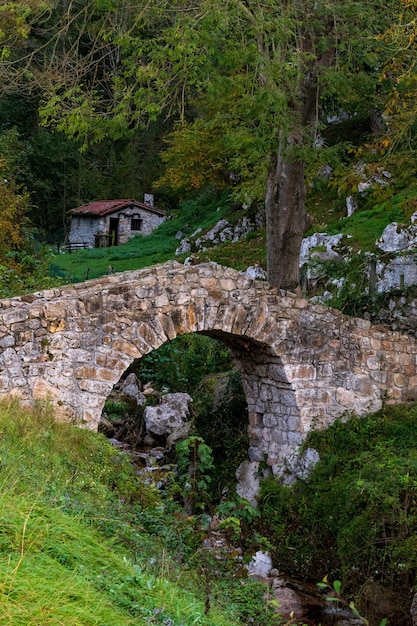 Typisch landschap van Asturië Stock Photo