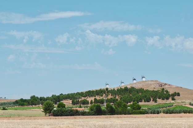 Typisch landschap van centraal deel van Spanje Castille La Mancha provincie in de zomer Weekendje weg