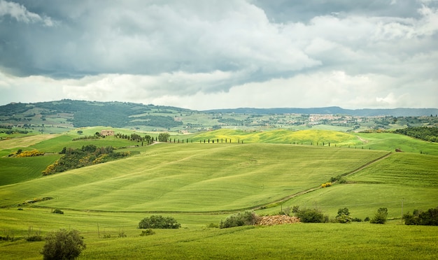 Typisch landschap van de Toscaanse heuvels in Italië