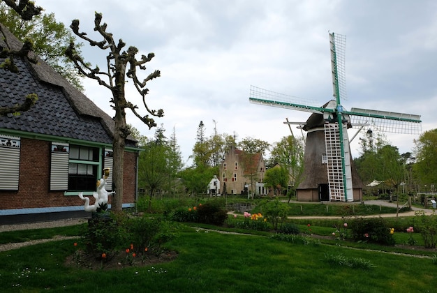 Typisch Nederlands dorp met een windmolen dichtbij amsterdam