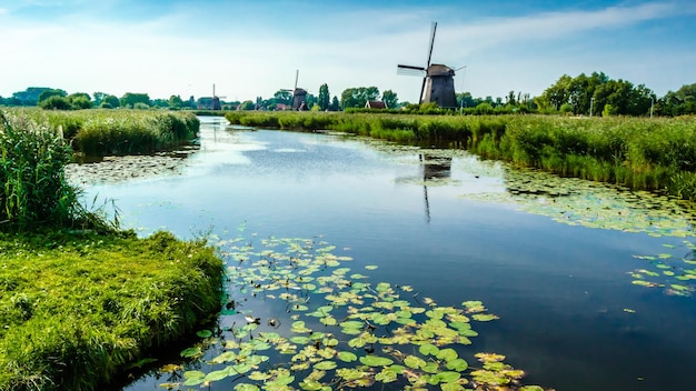 Typisch Nederlands landschap in Alkmaar Nederland