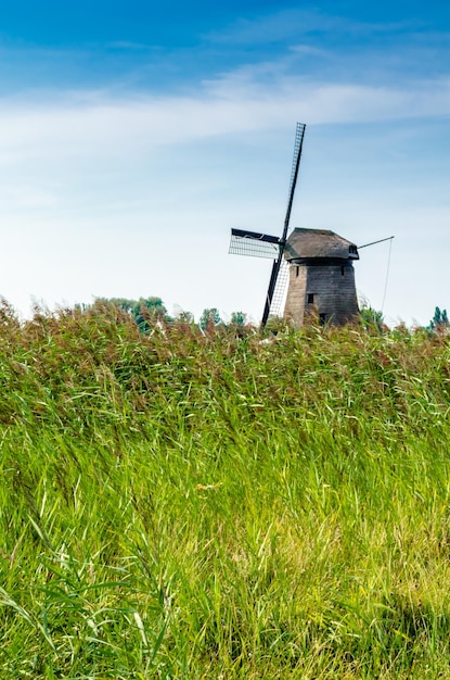 Typisch Nederlands landschap in Alkmaar Nederland