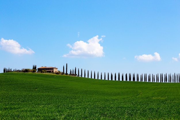 Typisch Toscaans landschap