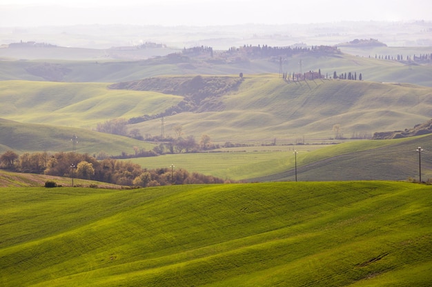 Typisch Toscaanse landschap groene golven