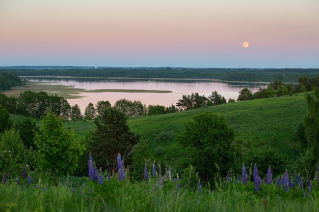 Typisch Wit-Russisch landschap in de avond