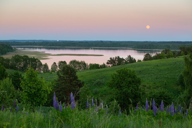 Foto typisch wit-russisch landschap in de avond