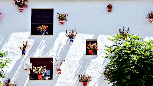 Typische Andalusische witte gevel, met hangende bolletjes potten. Andalusische stad, Cadiz.