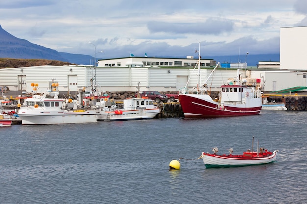 Typische IJslandse haven met vissersboten