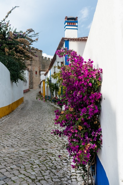 Typische straat van het middeleeuwse dorp ãƒâ“bidos in portugal.