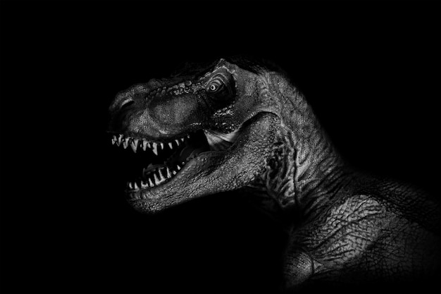 Tyrannosaurus Rex close up on dark background. 