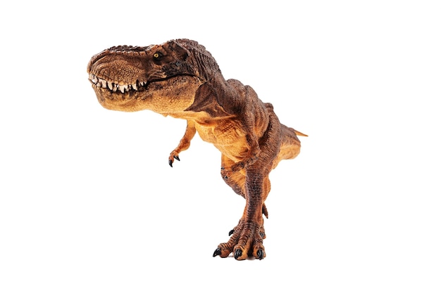 Photo tyrannosaurus rex dinosaur on isolation background